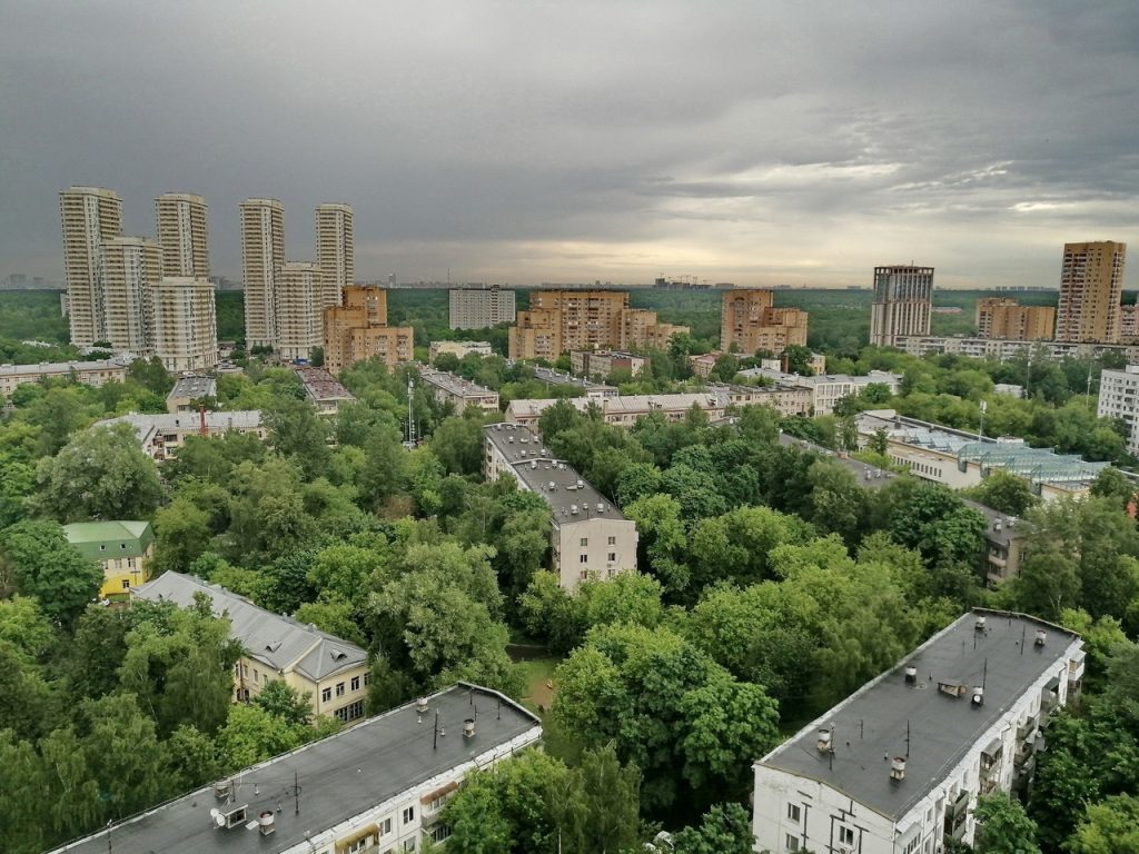 Жители Богородского выбирают главное событие года в районе | Богородское